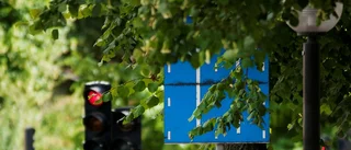 Skymda skyltar - en trafikfara