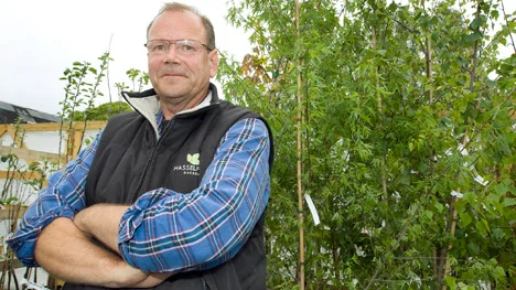 Trädgårdsmästare Stefan Enström tar björkbladlössinvasionen med ro.