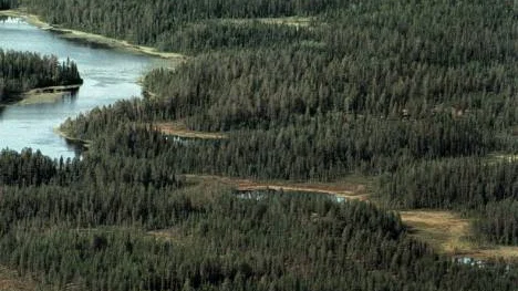 Den natursköna Trollforsen, nordväst om Moskosel i Arvidsjaurs kommun, ska bli ett vatten av rang för harr- och öringfiske. Pite älvs ekonomiska förening har tagit över förvaltningen och satsar på kraftfulla åtgärder för att fiskbestånden ska förbättras.FOTO: Magnus Pehrsson