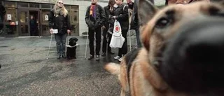 Synskadad nekad vård på grund av ledarhund