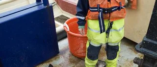 Yrkesfiskare: Fångsterna i laxfällorna är mycket mindre än i fjol