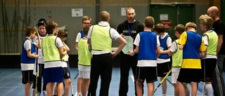 Del 2: Skolan blir lidande