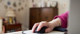 Polisen varnar för nätbedragare