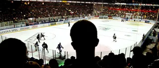 Kommunalråd skattade inte för hockeykort
