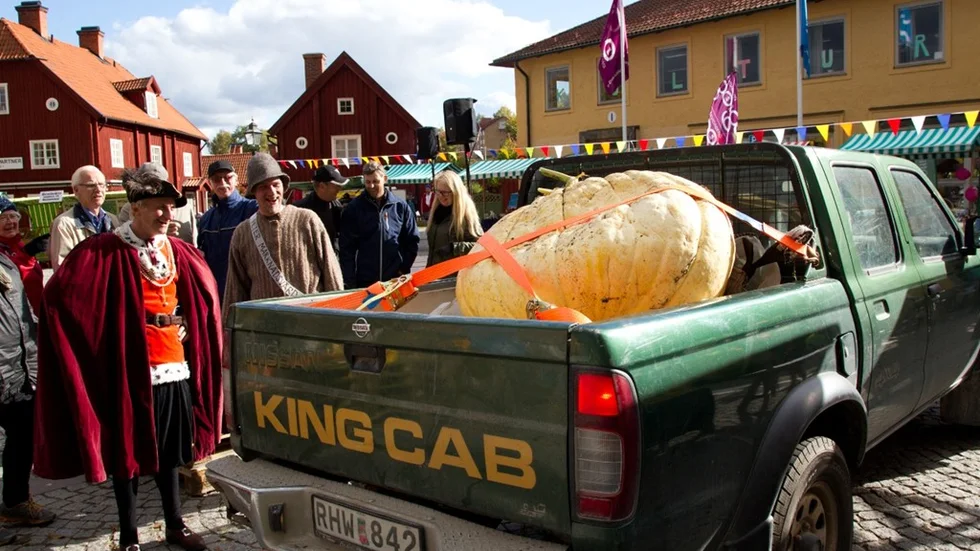 Pumpatävling och marknadi Åtvidaberg
Foto Pia Molin
