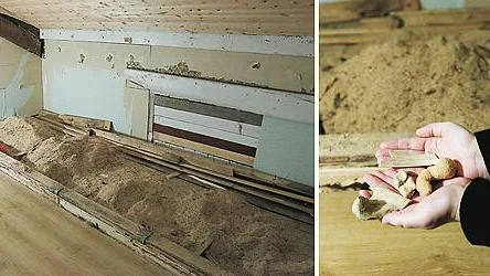 Paret har hittat cirka 30 bendelar i trossbotten. Nu ska delarna till rättsmedicin i Umeå för att klargöra om det kommer från en människa eller inte.