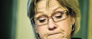 Finländare vill hjälpa ministern med spårsnön