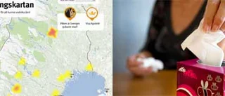 Snuviga näsor registreras på internet