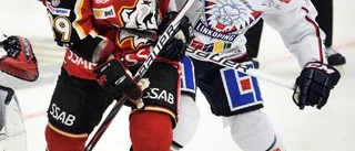 Luleås vapen - snällhet