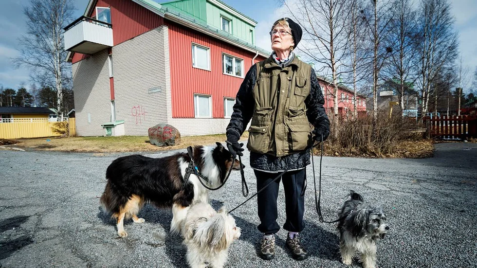 ARG. ”Det är hemskt, jättetråkigt. Lulebo har varit en jättefin hyresvärd, jag har absolut inget att klaga på”, säger Monica Sikström. Här med hundarna Viggo, Marre och            Bullen.