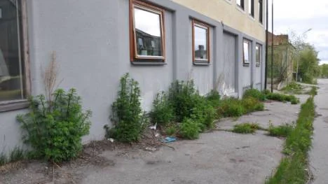 Österlånggatan i Malmberget är ingen prydnad för samhället. FOTO: Marie Ridderström