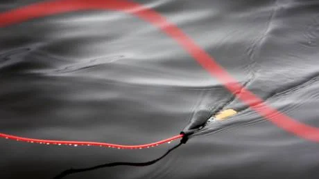 Slangen och kapseln med sprängmedel slängs ut i vattnen, detoneras och sedan är det bara att plocka upp yngel. En metod som är utvecklad av Fiskeriverket. FOTO: Kurt Engström