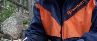 Kungsörnen lyfter - ungarna allt fler