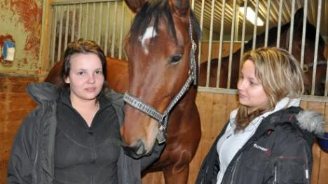 Hästar är Anna och Linnéa Gards stora intresse.<_Bildtext Fotobyline>FOTO: K-L Sundqvist</_Bildtext Fotobyline>