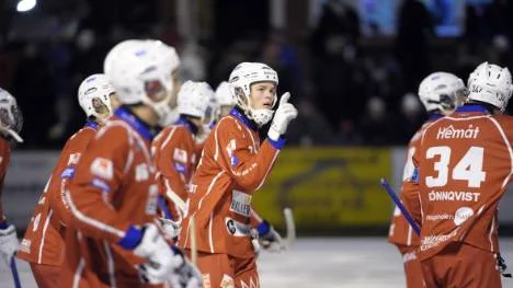 Orädd nykomling. Kalix Bandy tog tredje raka segern när man besegrade Vänersborg på bortaplan.