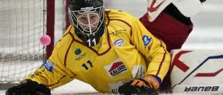 Kalix glädjebesked: stjärnorna stannar