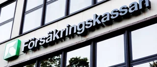 Sjukskriven körde alkohol över sundet