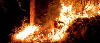 Svårsläckt brand i Slätmon