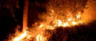 Svårt att släcka skogsbrand