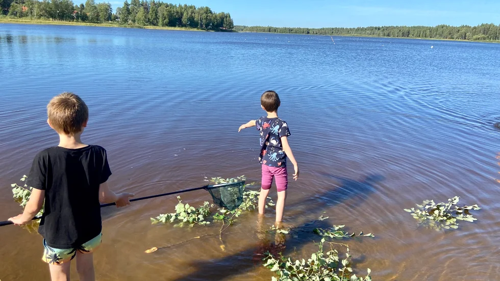 Bröderna Malte och Edvard Gelfgren badade vid Lulsundsbadet tillsammans med pappa Viktor Bengtsson samma dag som Christina Aasa bygdell upptäckte hålet. Vid det laget hade kommunen fyllt igen hålet men det var fortfarande klart djupare än vid sidan av.