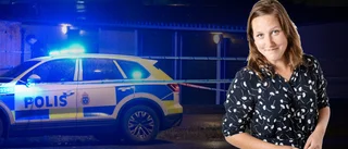 ”Du har inte problem med kriminella invandrare när du bor i Hangvar”