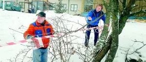 Missförstånd 
bakom avlivning?