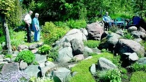 Öppen trädgård. Här en bild från Sigrid Hjalmarssons trädgård i Aläng Loftahammar, en trädgård med mycket stenpartier och massor med fina växter.