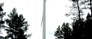 Vindkraften bör studeras bättre