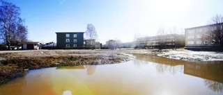 Nytt Arabia skjutet på framtiden