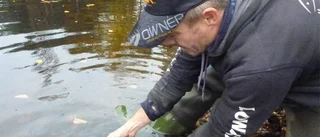 Fiskar dog när damm tömdes