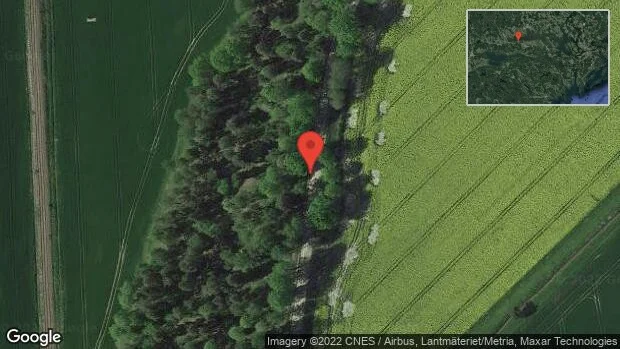 Rådjur på vägen på väg 939