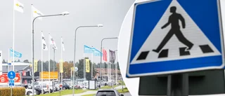 Här vill Visbybon ha ett nytt övergångsställe