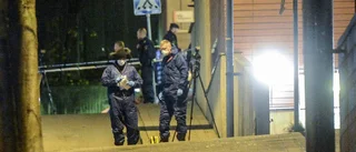 Godiset svenskarna gillar mest