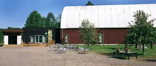 Nya grepp i Konsthallen