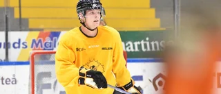  Nye AIK-backen njuter av tillvaron i norr: ”Helt fantastiskt”