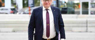 100 procent gråsosse          