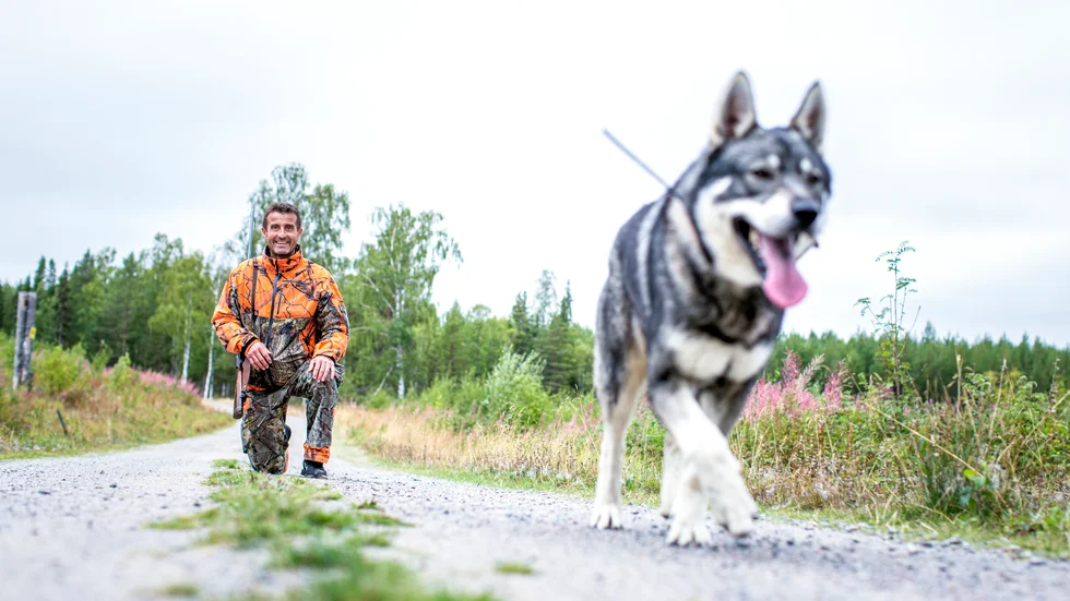 "Sveaskog är en bra och enkel markägare att ha att göra med", säger Thomas Schäufele, en av Sveaskogs 25 000 jägare.