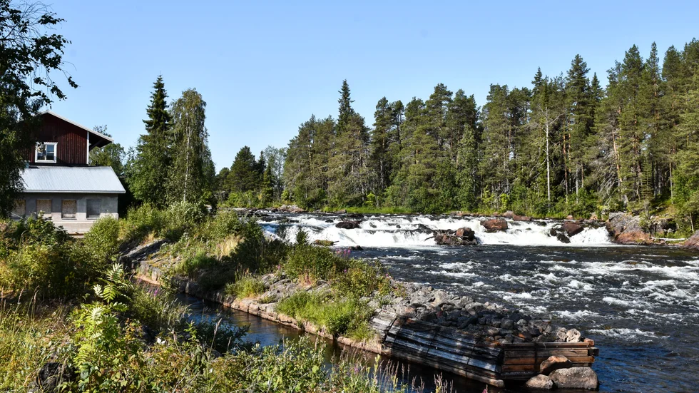 Kengis fiskelodge ligger idylliskt vid Torneälven och Kengis fors. Själva forsen är stängd för fiske, men nedanför är det bara att ställa sig i 