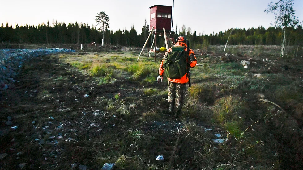 Naturvårdsverket har gjort den första större översynen av jakttiderna på 20 år. Förslaget har nu lämnats till regeringen för fortsatt beredning och beslut.
