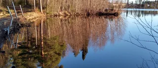 Läsarbild från Trångfors      