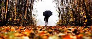 Blött och få soltimmar – så var oktobervädret