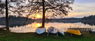 Läsarnas egna bilder          