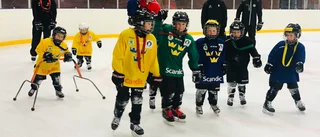 En poppis skola på hal is: "Kom och ha kul med oss"