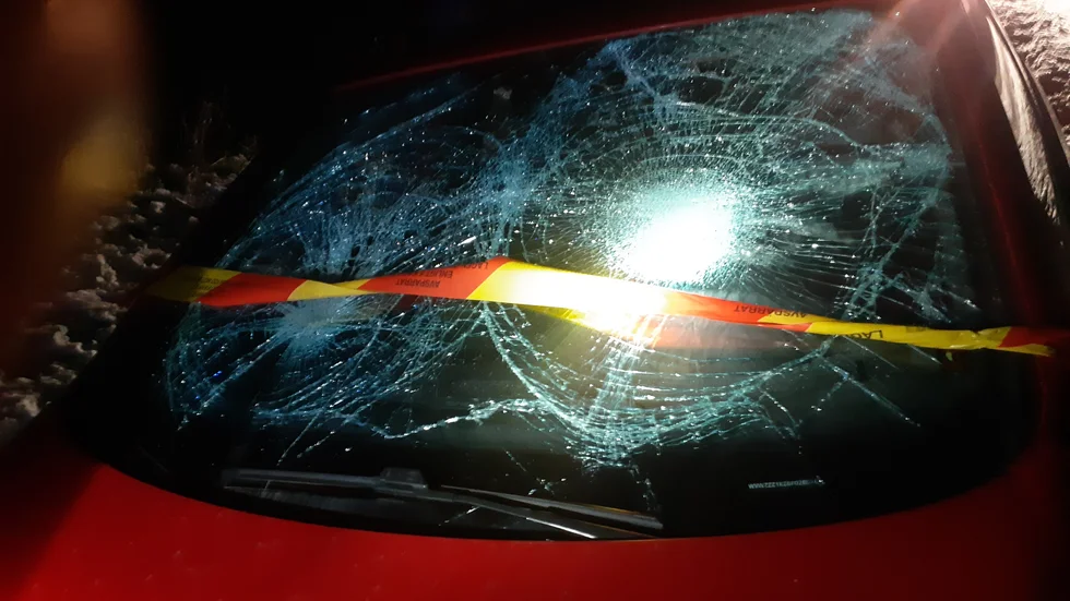 En personbil kolliderade med en älg efter Infjärdenvägen på måndagseftermiddagen.