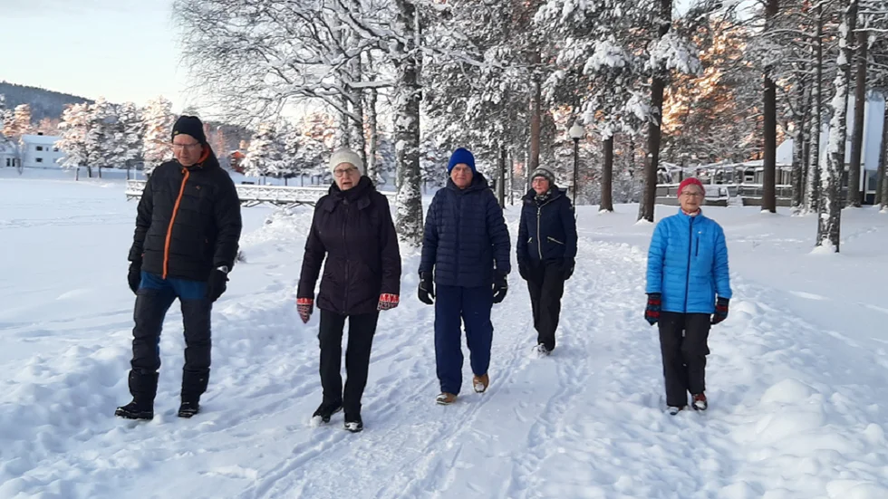 Några av dom som brukar promenera: Göran Lundberg, Karin Flinkfeldt, Björn Gardfäll, Eva Norberg och Ingrid Gardfjäll.
