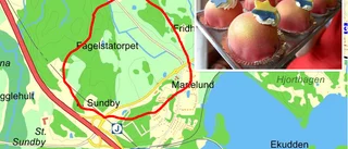 Bo i Kanelbullen – nya områden får namn efter bakverk
