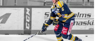 Linden lånar in meriterad back