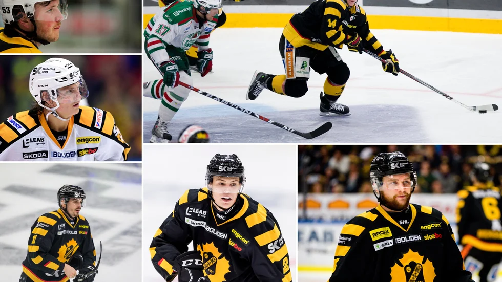 Sebastian Selin, Anton Karlsson, Henrik Hetta, Anton Danielsson, Tobias Viklund och Sebastian Ohlsson är några av spelarna med bakgrund i Skellefteå AIK och Skelleftehockeyn som nu spelar i hockeyallsvenskan.