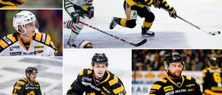 Så har det gått för de gamla AIK-spelarna i hockeyallsvenskan