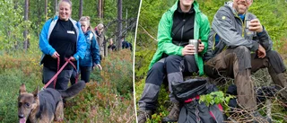 Här kan du hitta varg – bajset visar vägen